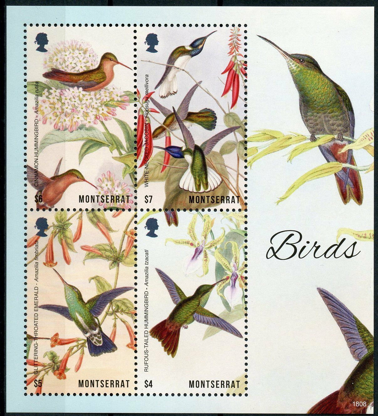 Montserrat 2018 MNH Birds on Stamps Jacobin Emerald Hummingbird Hummingbirds 4v M/S