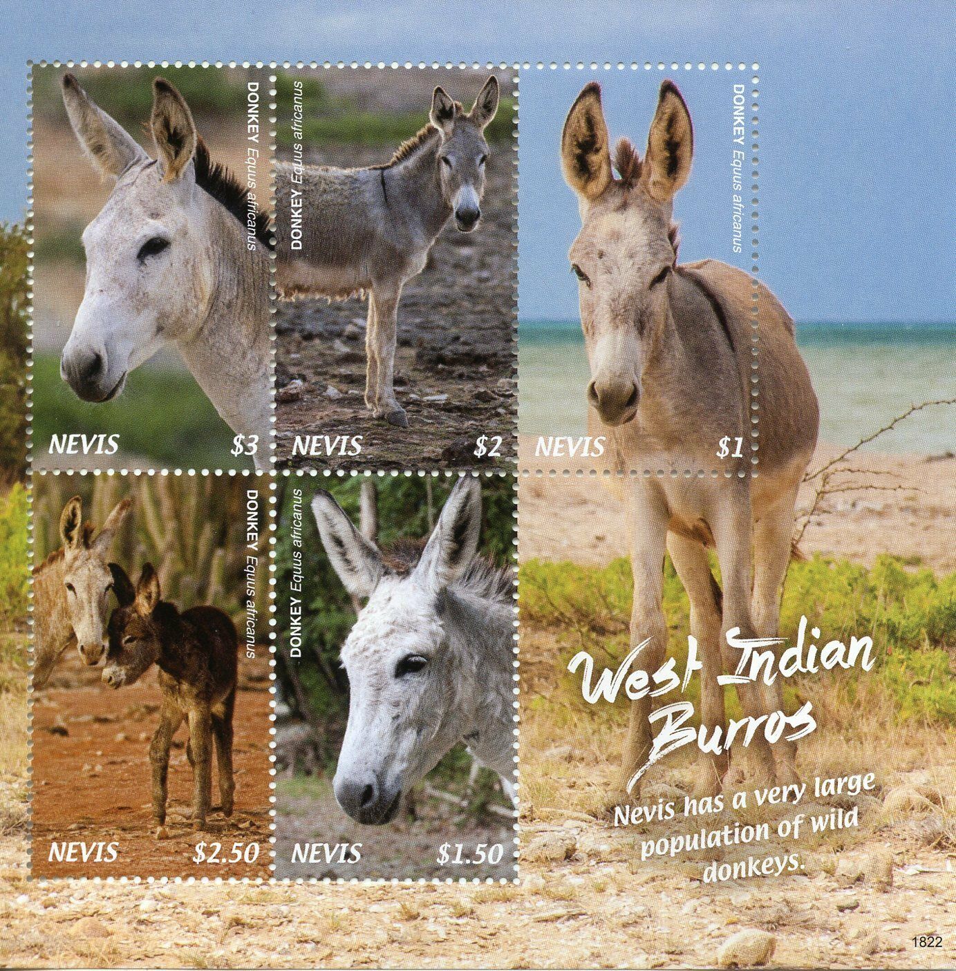 Nevis Wild Animals Stamps 2018 MNH West Indian Burros Donkeys 5v M/S