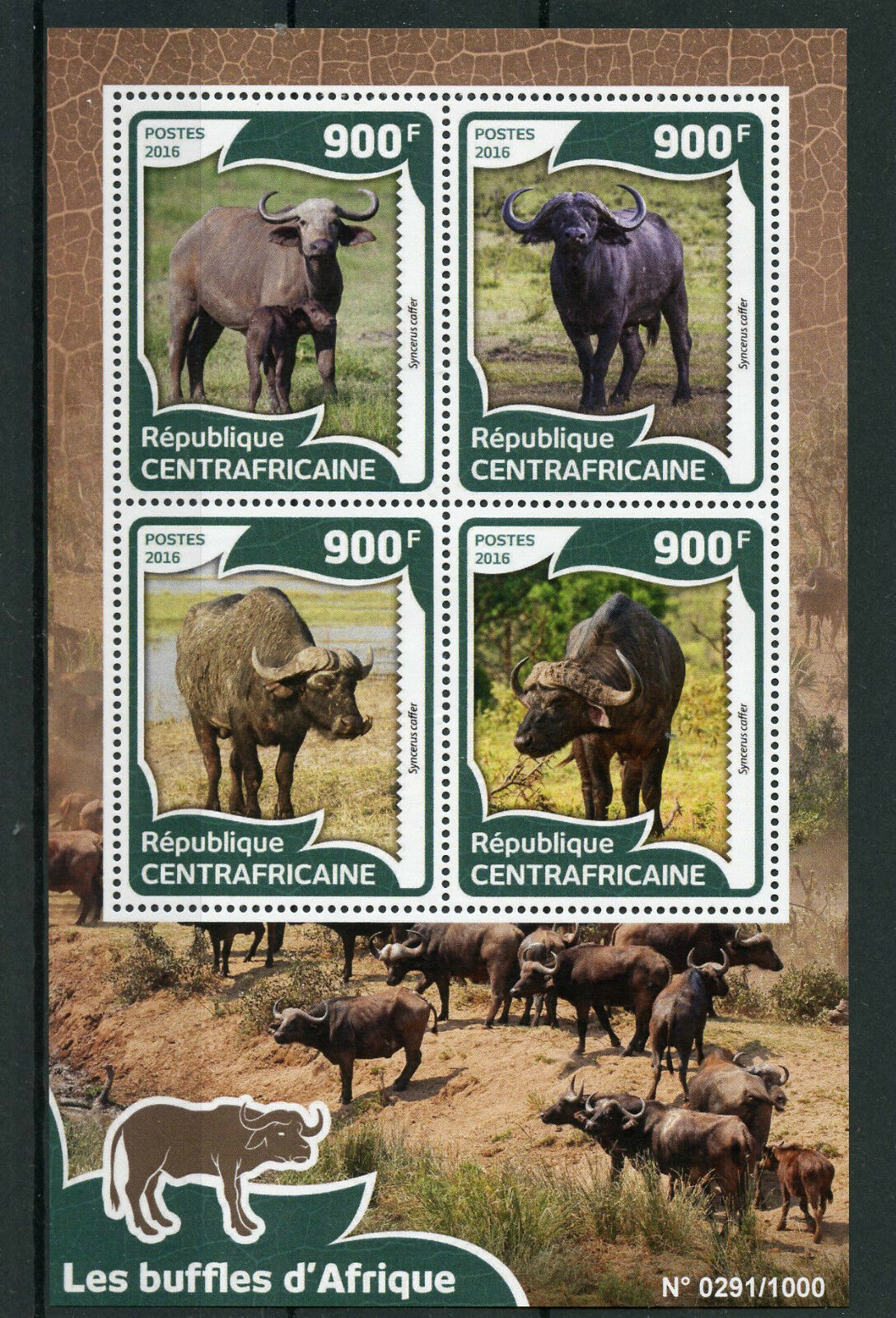 Central African Rep 2016 MNH African Buffalos 4v M/S Buffalo Wild Animals Stamps