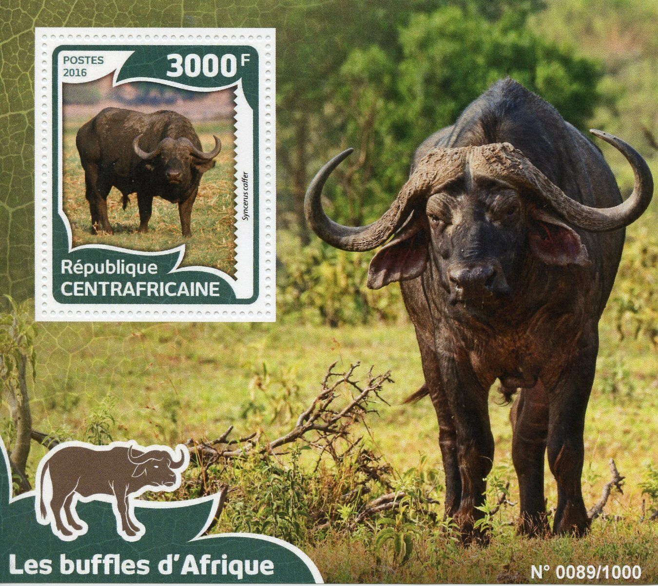 Central African Rep 2016 MNH African Buffalos 1v S/S Buffalo Wild Animals Stamps