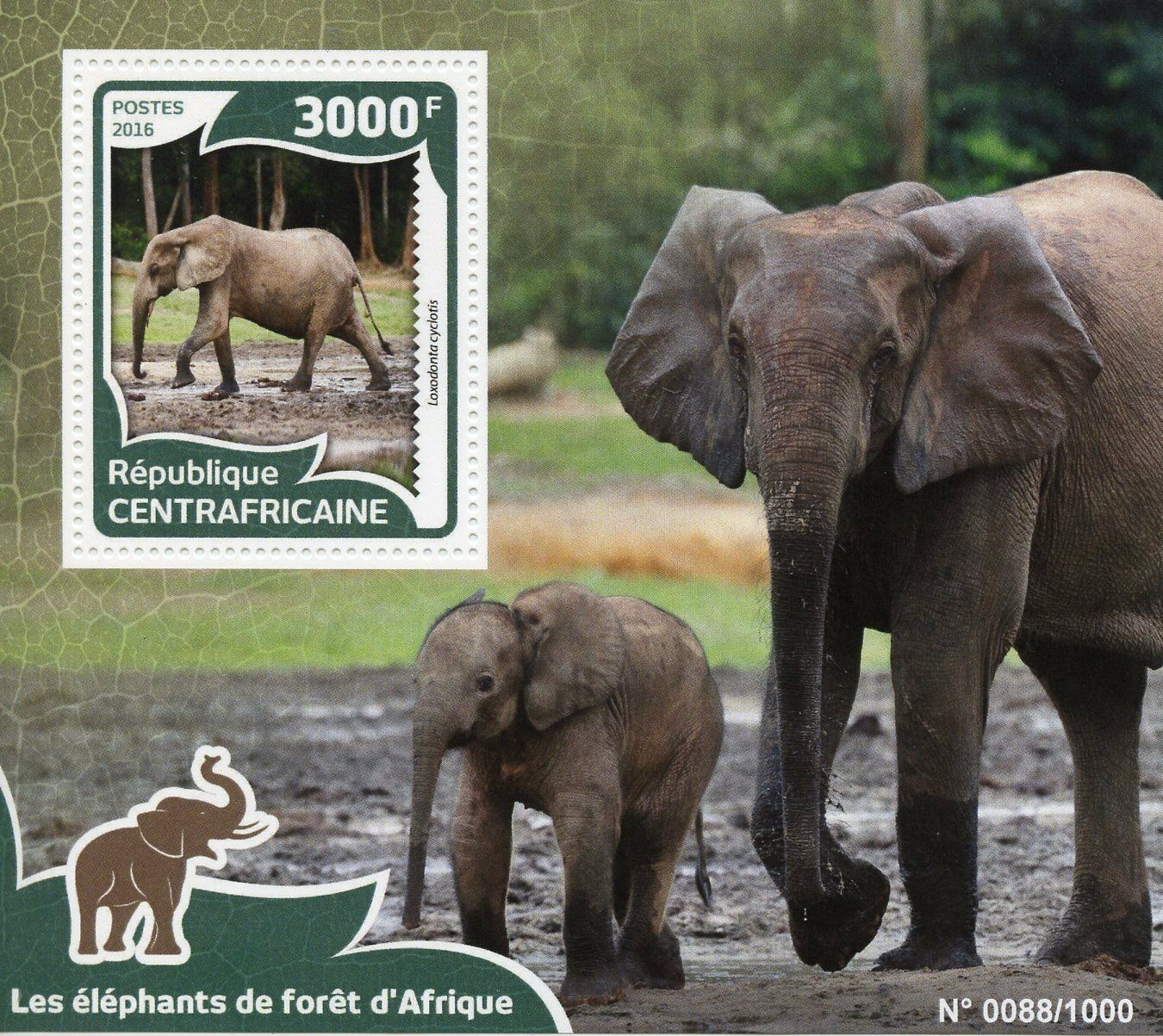 Central African Republic 2016 MNH African Forest Elephants 1v S/S Wild Animals