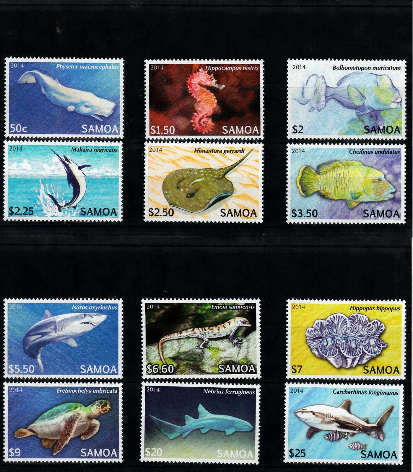 Samoa 2014 MNH Threatened Species Part 2 12v Set Marine Fish Turtles Sharks