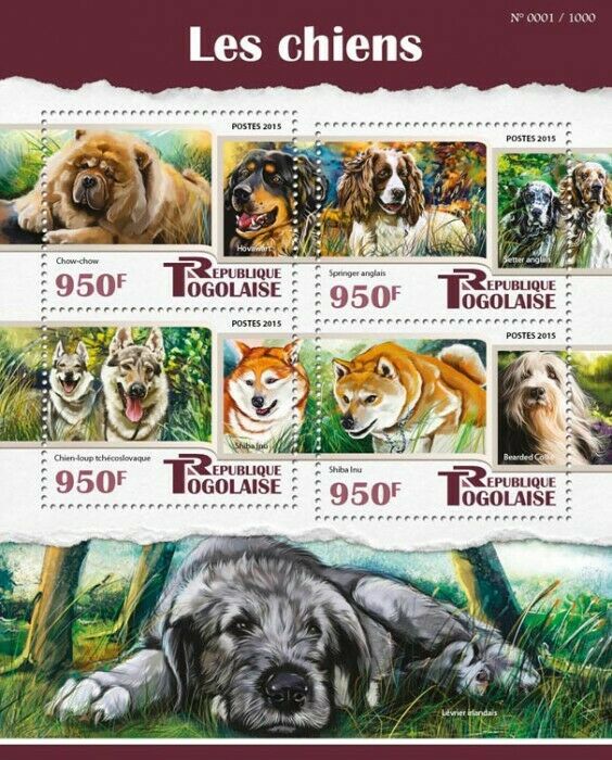 Togo Dogs Stamps 2015 MNH Chow Chow Hovawart English Setter Springer Dog 1v S/S