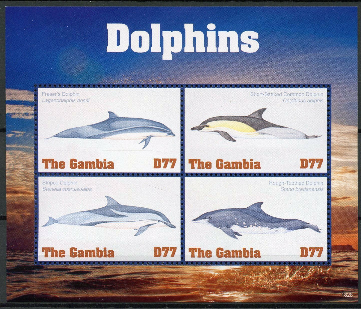 Gambia 2018 MNH Dolphins Striped Fraser's Dolphin 4v M/S Marine Animals Stamps