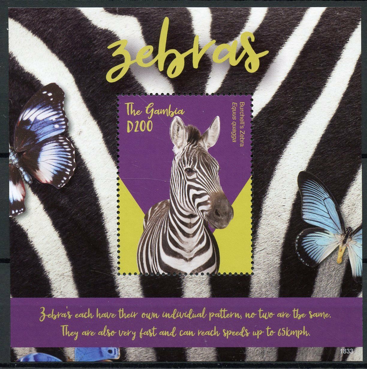 Gambia 2018 MNH Zebras Burchell's Zebra 1v S/S Wild Animals Stamps