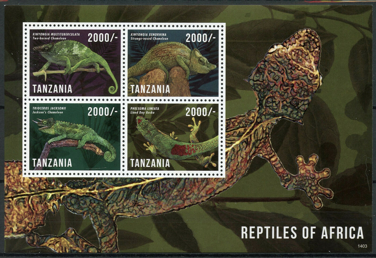 Tanzania Lizards Stamps 2014 MNH Reptiles of Africa Geckos Chameleons 4v M/S
