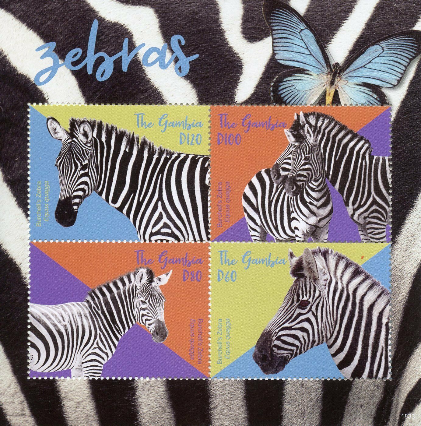 Gambia 2018 MNH Zebras Burchell's Zebra 4v M/S Wild Animals Stamps