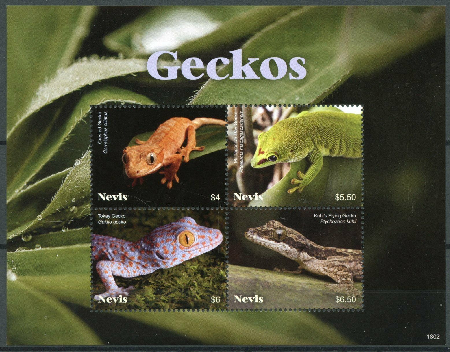 Nevis Lizards Stamps 2018 MNH Geckos Tokay Crested Gecko Reptiles 4v M/S