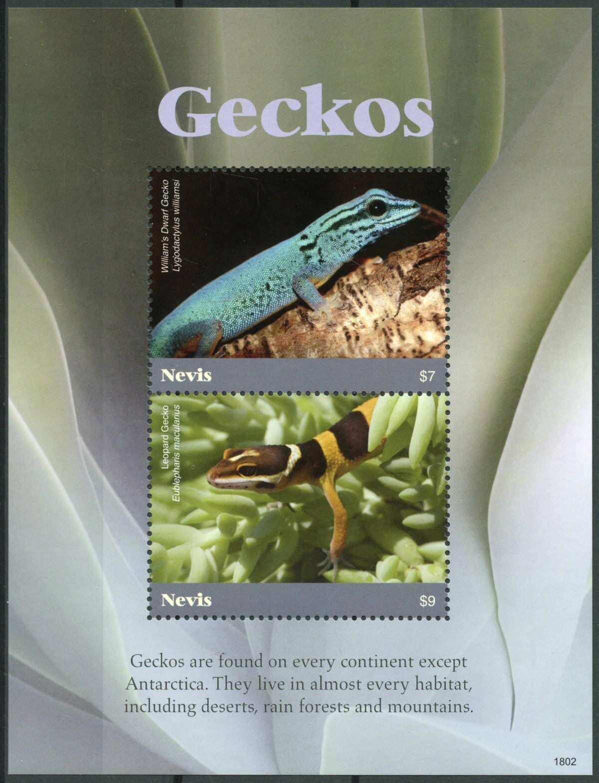 Nevis Lizards Stamps 2018 MNH Geckos Leopard Gecko Reptiles 2v S/S