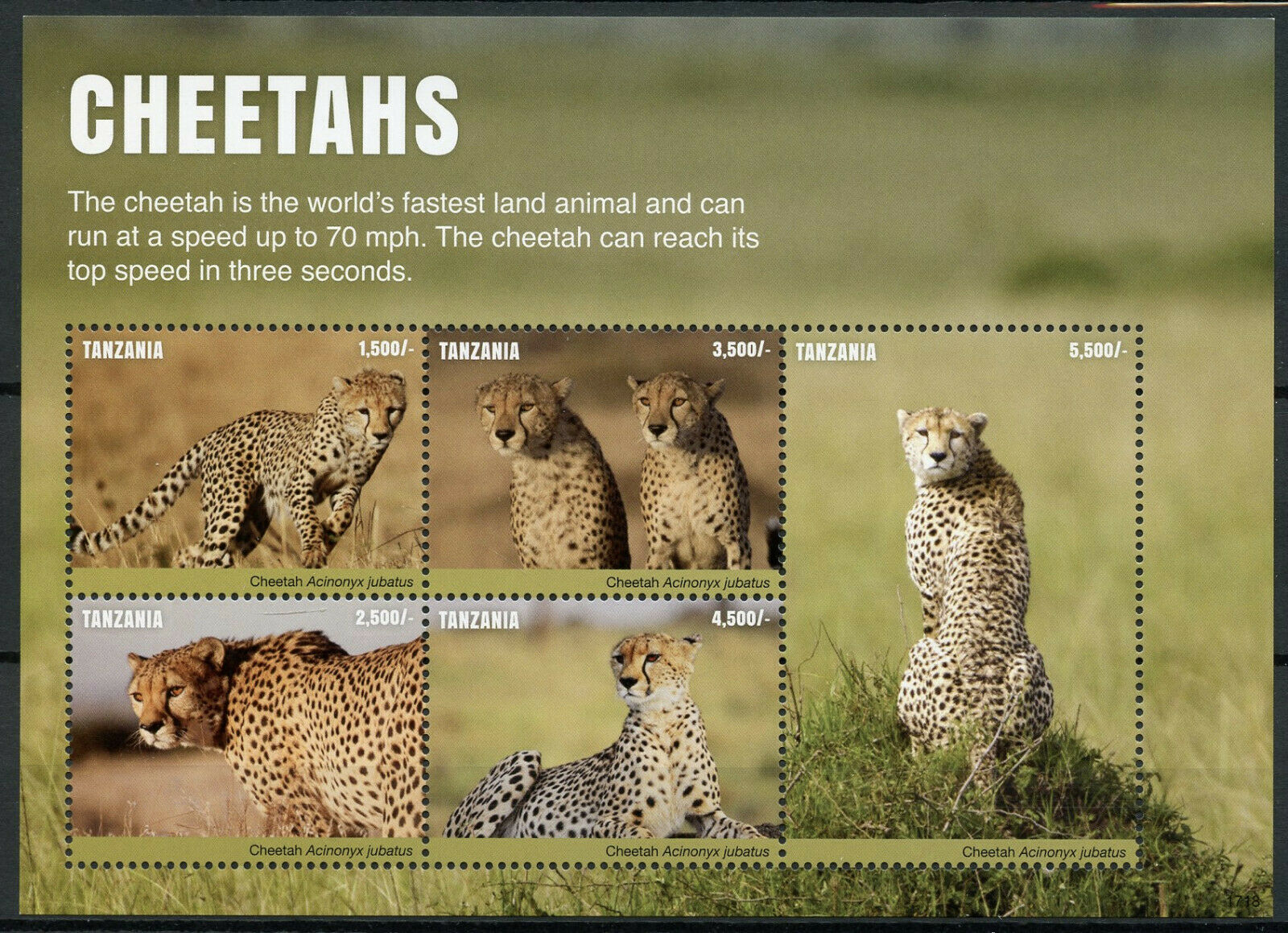 Tanzania 2017 MNH Wild Animals Stamps Cheetahs Cheetah Big Cats Fauna 5v M/S II