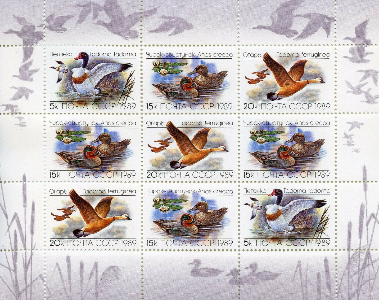 Russia 1989 MNH Ducks Teal Shelduck 9v M/S Duck Birds Stamps