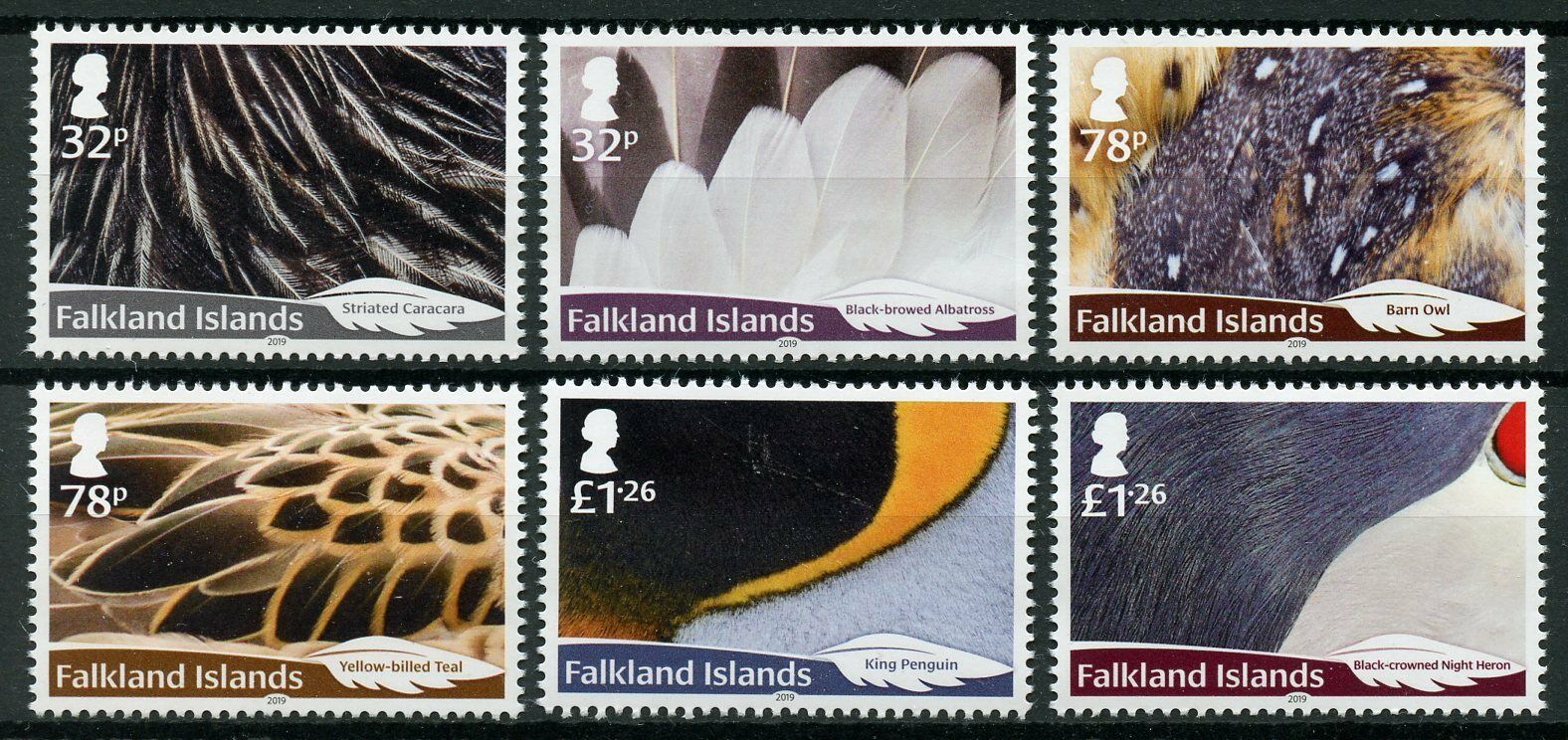 Falkland Islands 2019 MNH Birds on Stamps Feathers Ducks Owls Penguins 6v Set