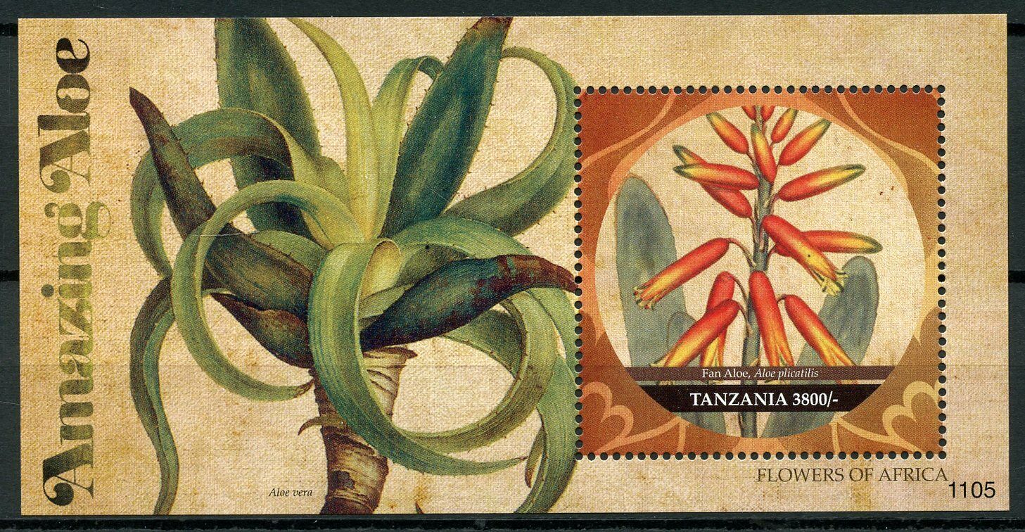 Tanzania Flowers of Africa Stamps 2011 MNH Amazing Fan Aloe Flora Nature 1v S/S