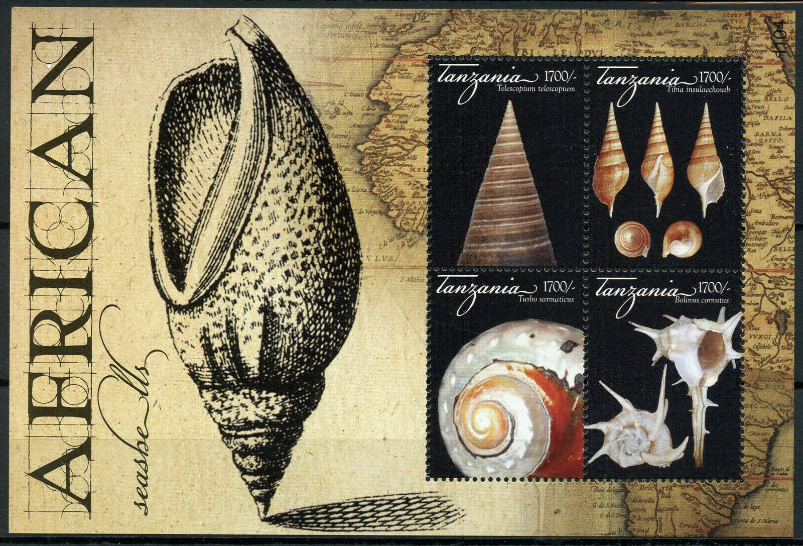 Tanzania African Seashells Stamps 2011 MNH Sea Shells Tibia Telescopium 4v M/S
