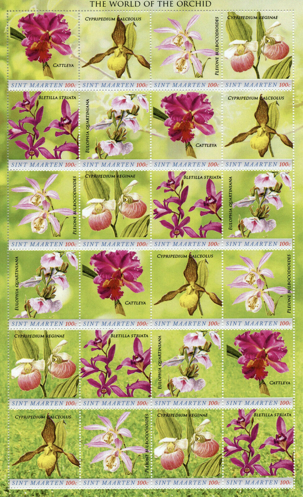 St Maarten Flowers Stamps 2020 MNH Orchids World of Orchid Flora Nature 24v M/S