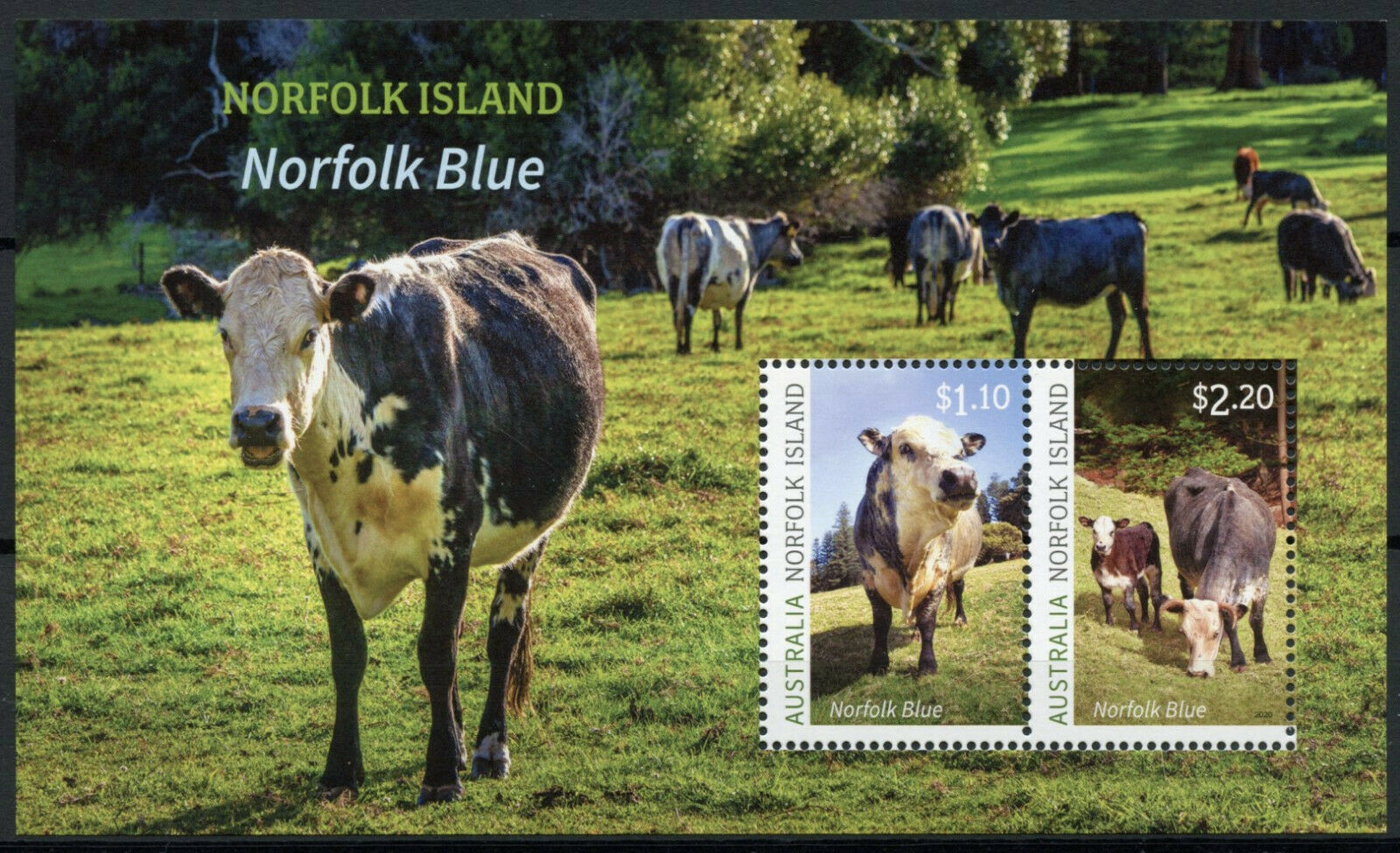 Norfolk Island Cows Stamps 2020 MNH Norfolk Blue Cow Farm Animals 2v M/S