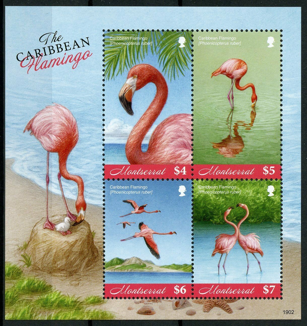 Montserrat 2019 MNH Birds on Stamps Caribbean Flamingo Flamingos 4v M/S