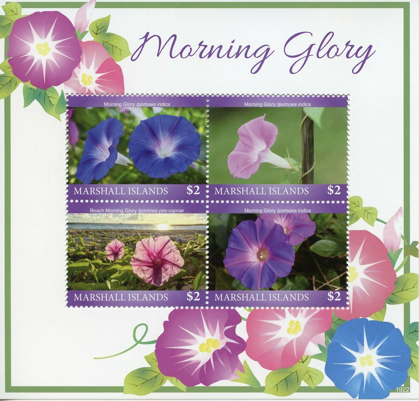 Marshall Islands 2019 MNH Flowers Stamps Morning Glory Nature Flora 4v M/S