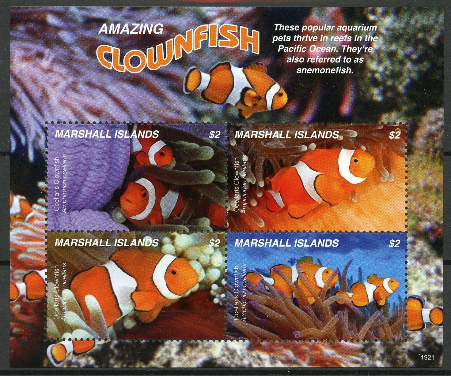 Marshall Islands 2019 MNH Fish Stamps Amazing Clownfish Fishes 4v M/S
