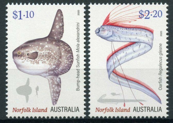 Norfolk Island Fish Stamps 2020 MNH Ocean Oddities Sunfish Oarfish Fishes 2v Set