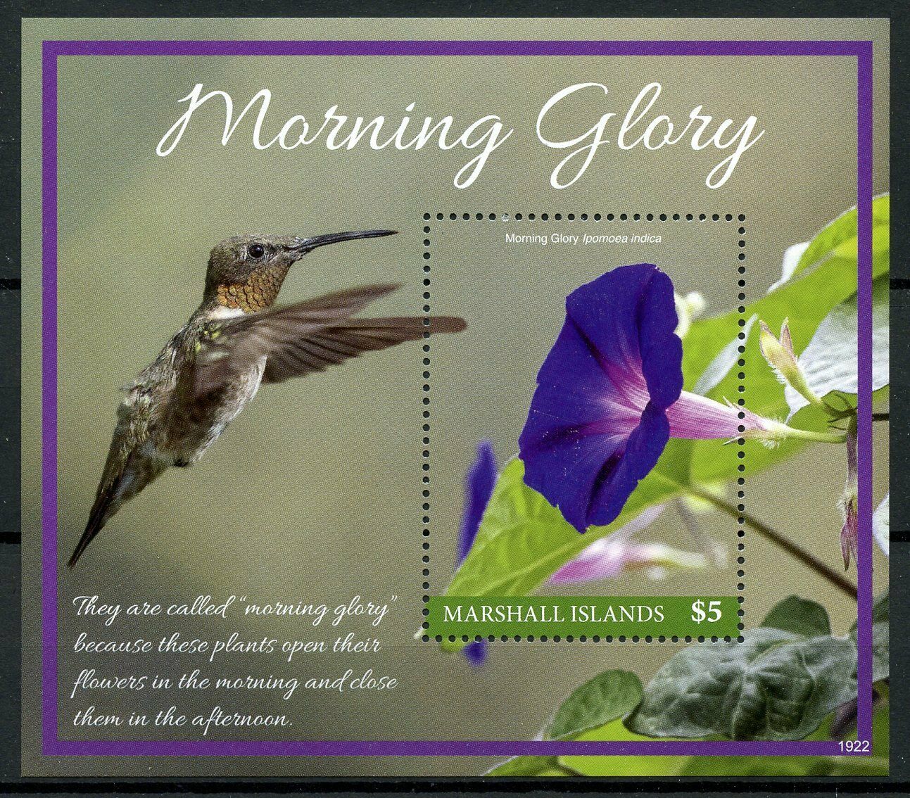 Marshall Islands 2019 MNH Flowers Stamps Morning Glory Hummingbirds Birds 1v S/S