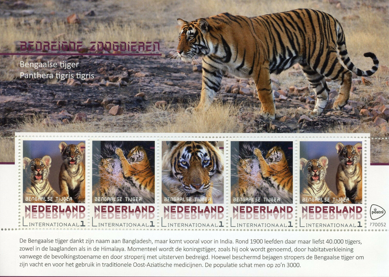 Netherlands 2018 MNH Bengal Tiger Endangered Animals 5v M/S Tigers Stamps