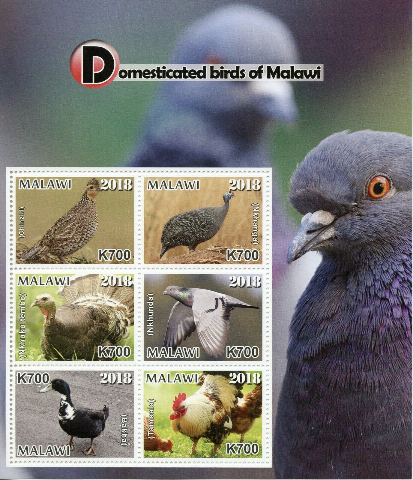 Malawi Domesticated Birds on Stamps 2018 MNH Ducks Pigeons Chickens 6v M/S