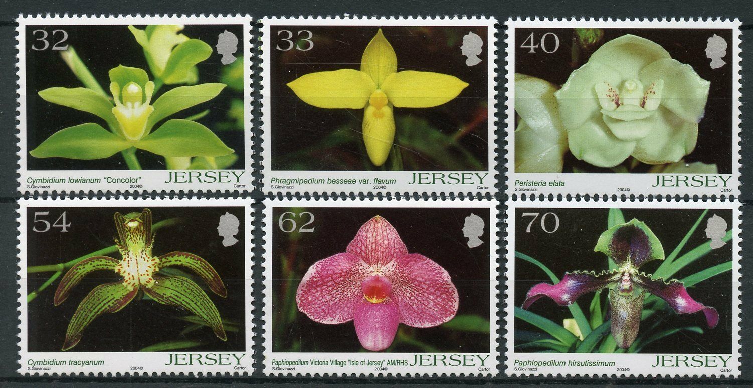 Jersey 2004 MNH Orchids 5th Series Cymbidium 6v Set Orchid Flora Nature Stamps