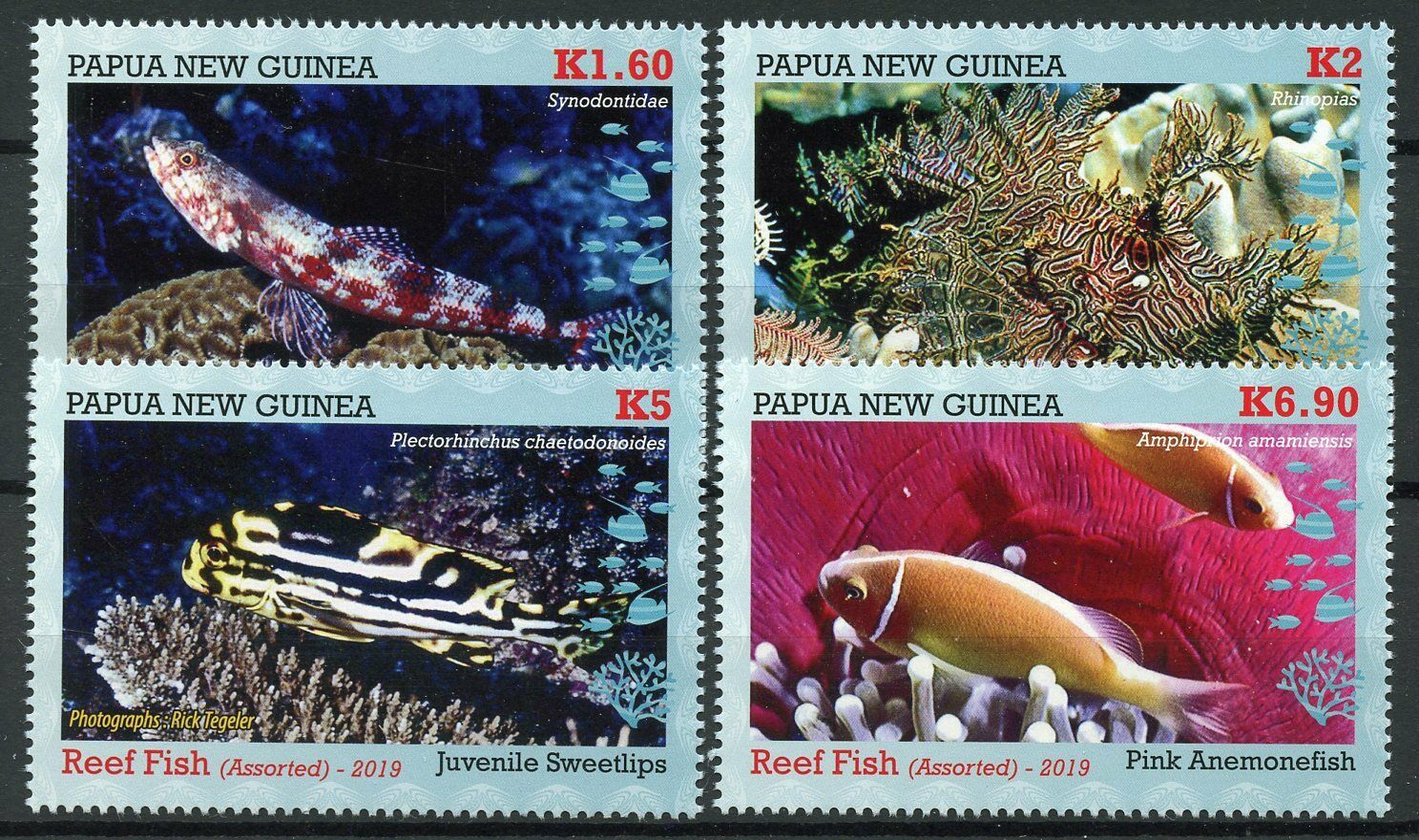 Papua New Guinea PNG Fish Stamps 2019 MNH Reef Fishes Corals Marine 4v Set