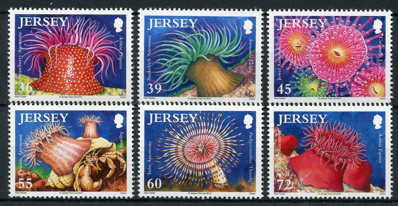 Jersey 2010 MNH Marine Animals Stamps Marine Life VIII Anemones 6v Set
