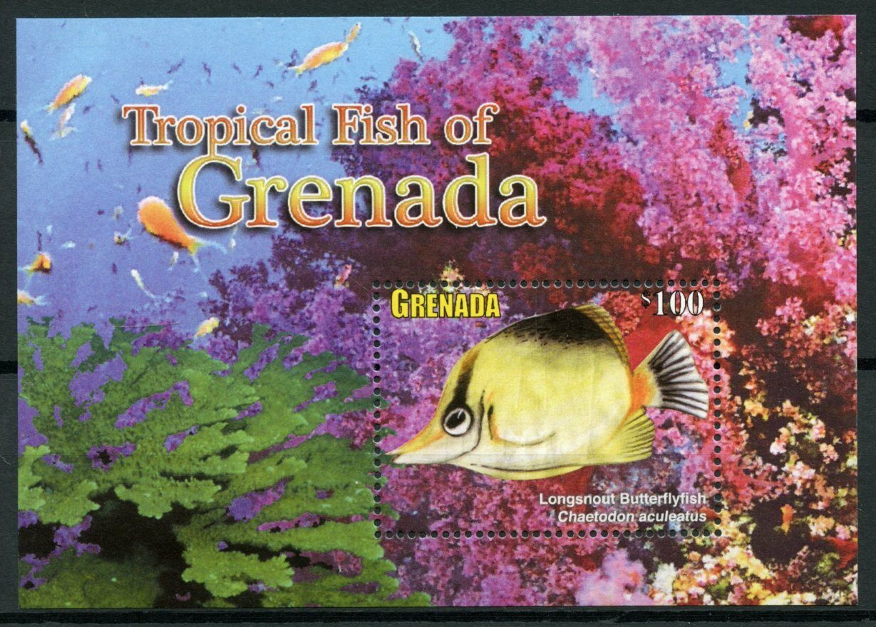 Grenada Fish Stamps 2010 MNH Definitives Fishes Longsnout Butterflyfish 1v S/S