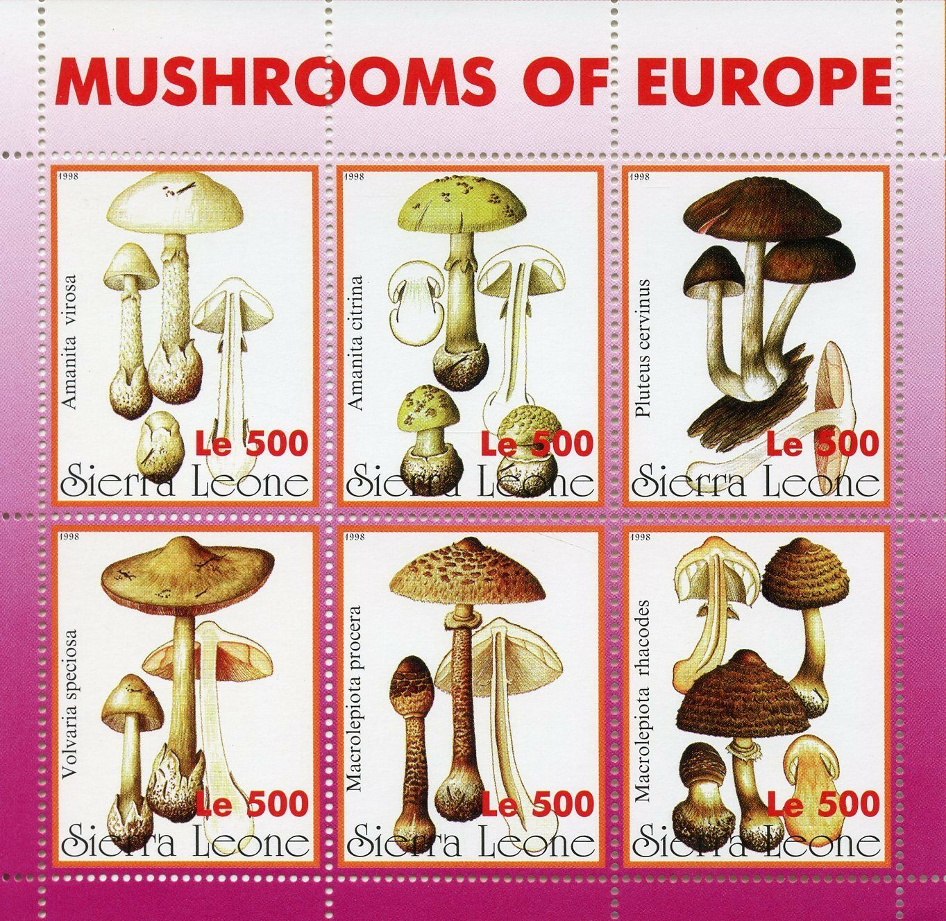 Sierra Leone 1998 MNH Mushrooms of Europe 6v M/S Fungi Nature Stamps
