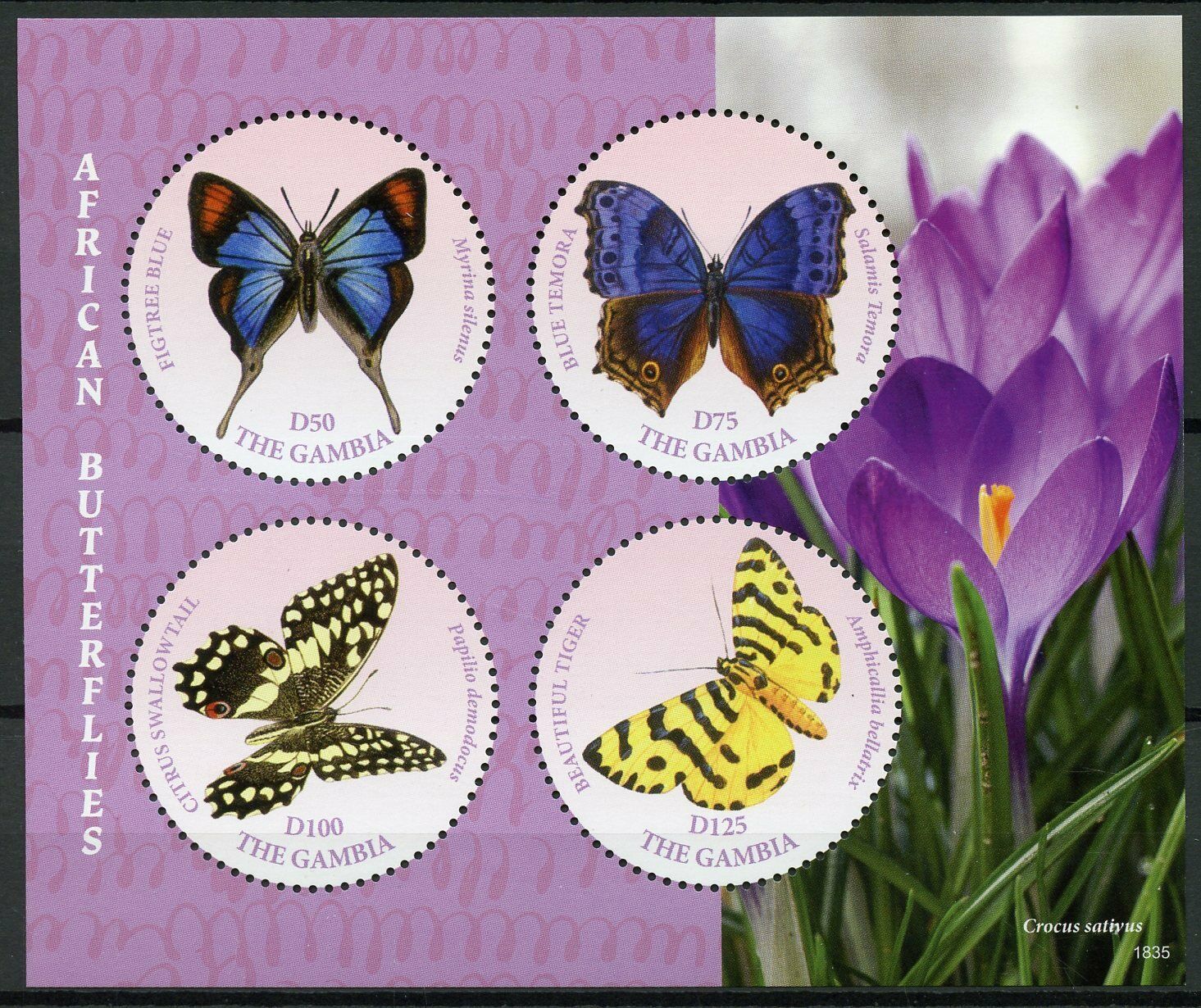 Gambia Butterfly Stamps 2018 MNH African Butterflies Swallowtail 4v M/S II