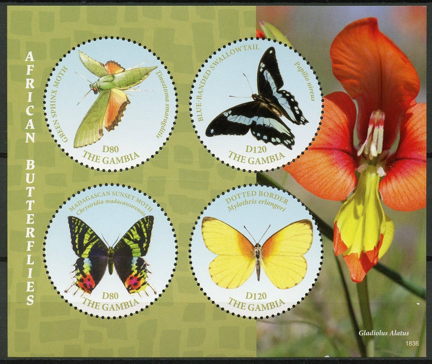 Gambia Butterfly Stamps 2018 MNH African Butterflies Swallowtail 4v M/S III