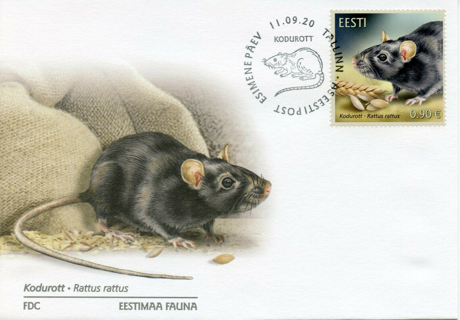 Estonia Wild Animals Stamps 2020 FDC Black Rat Rats Estonian Fauna 1v Set