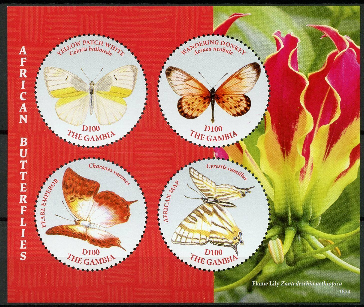 Gambia Butterfly Stamps 2018 MNH African Butterflies Pearl Emperor 4v M/S I