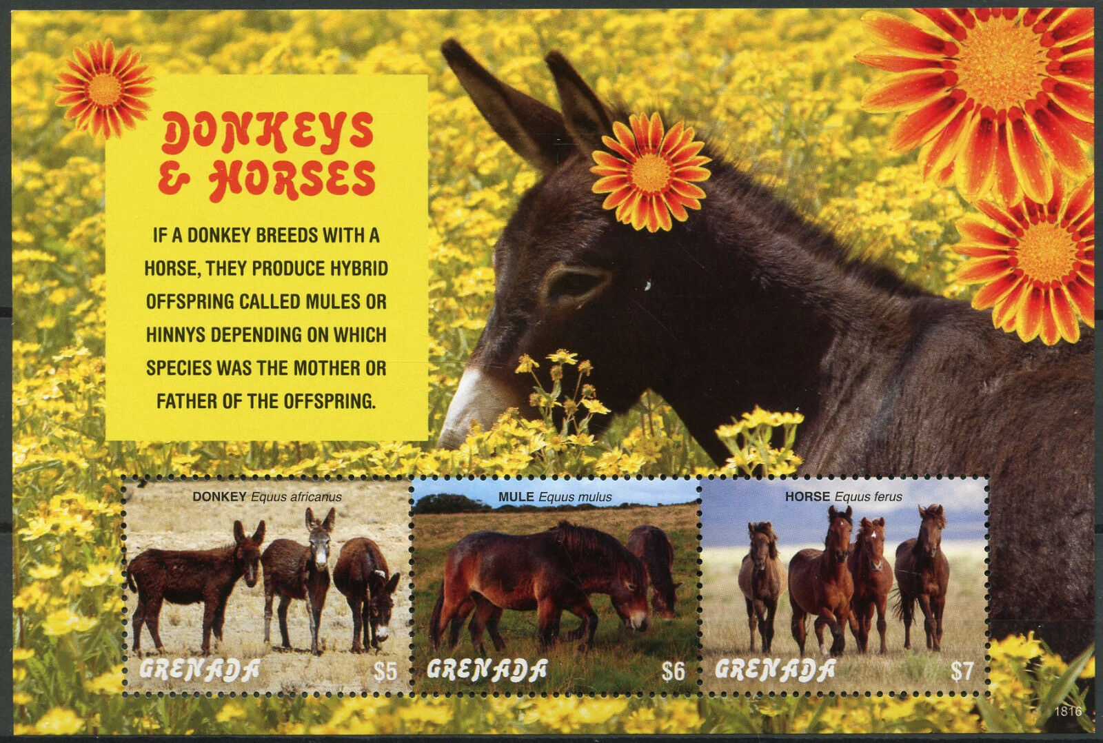 Grenada 2018 MNH Farm Animals Stamps Donkeys & Horses Wild Animals 3v M/S