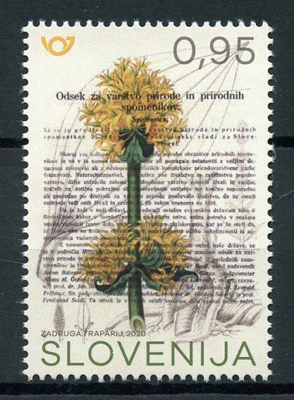 Slovenia Flowers Stamps 2020 MNH Memorandum Nature Conservation Plants 1v Set