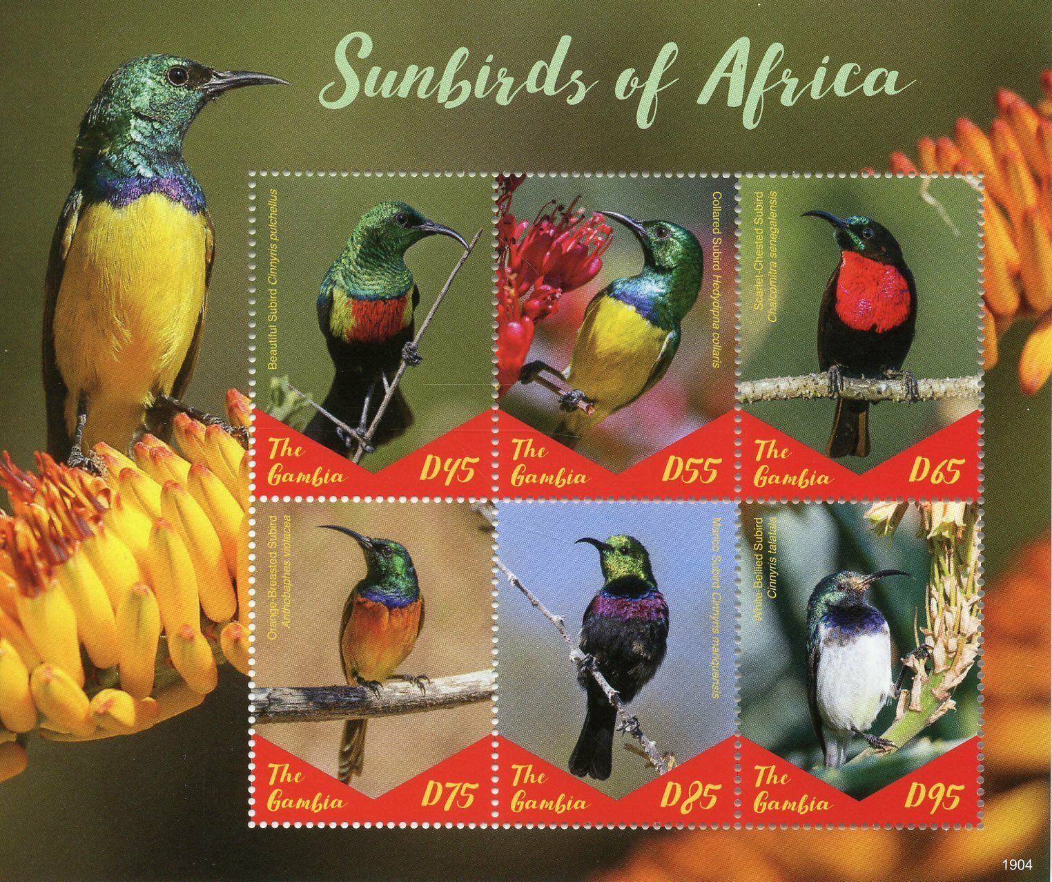 Gambia 2019 MNH Birds on Stamps Sunbirds of Africa Collared Marico Sunbird 6v M/S