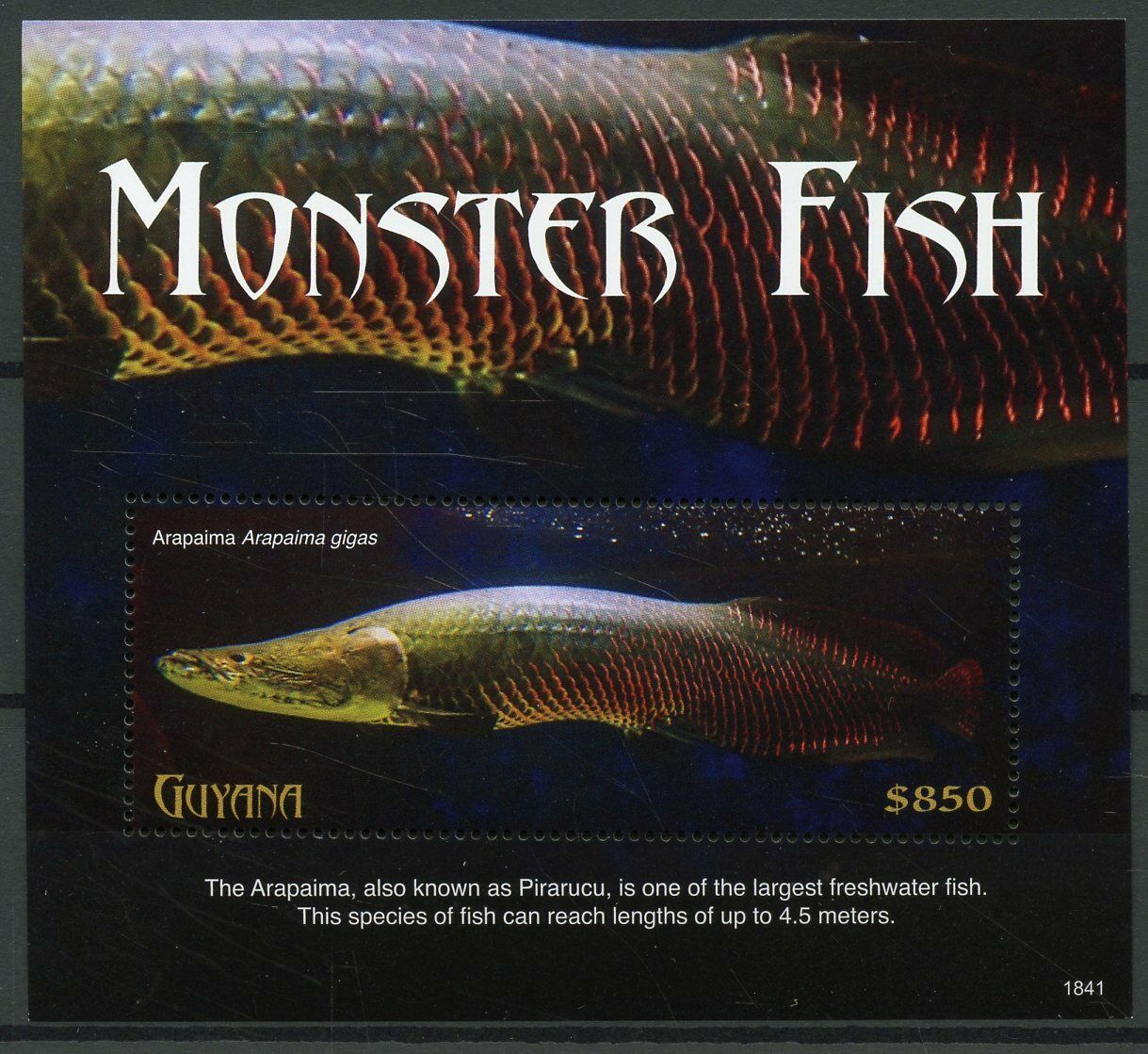 Guyana 2018 MNH Fishes Stamps Monster Fish Arapaima Marine 1v S/S