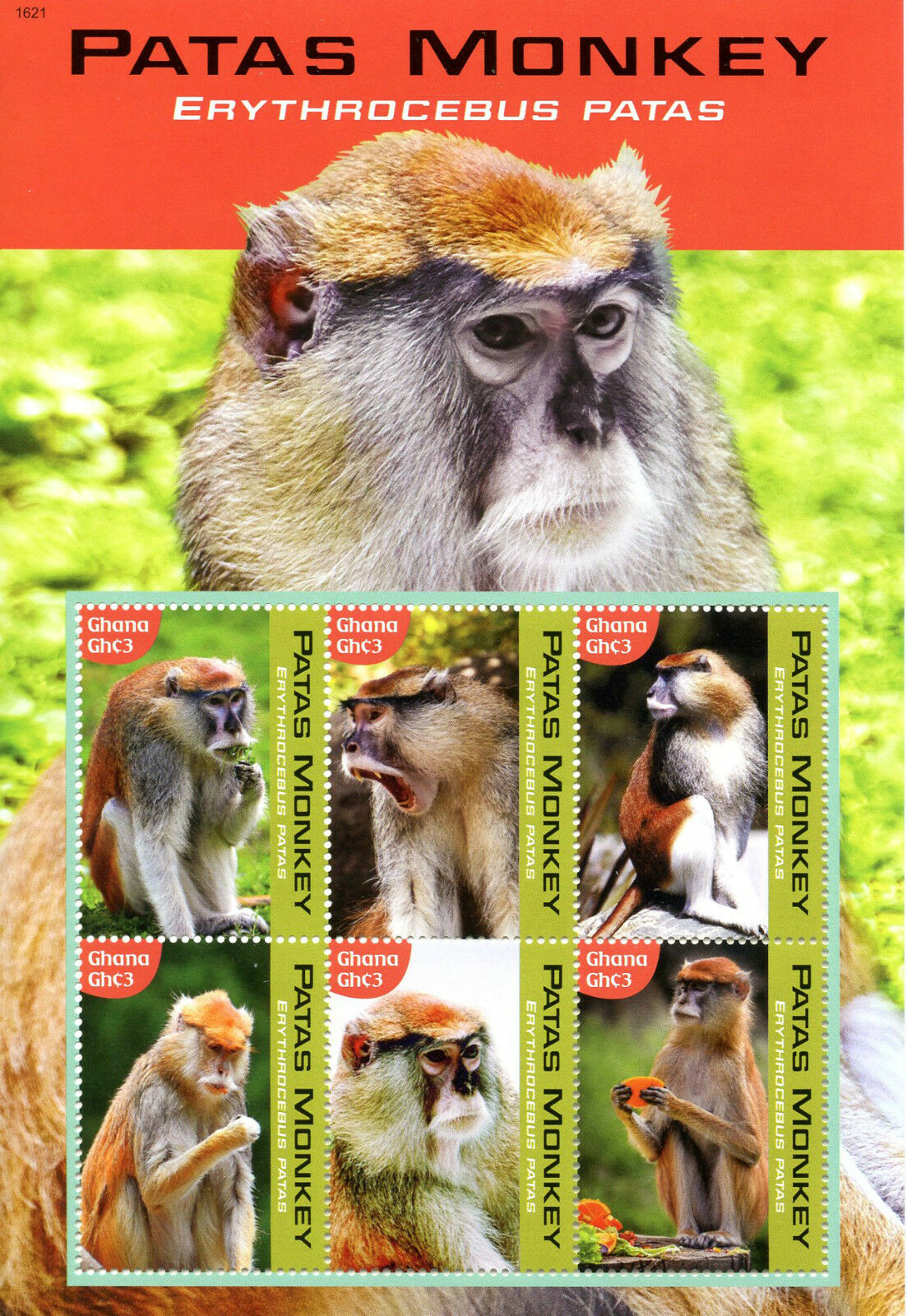 Ghana 2016 MNH Patas Monkey 6v M/S Monkeys Primates Wild Animals Stamps