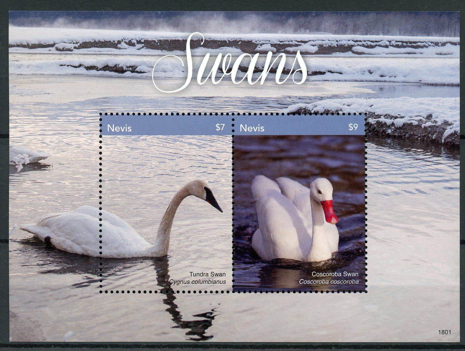Nevis Birds on Stamps 2018 MNH Swans Coscoroba Tundra Swan 2v S/S