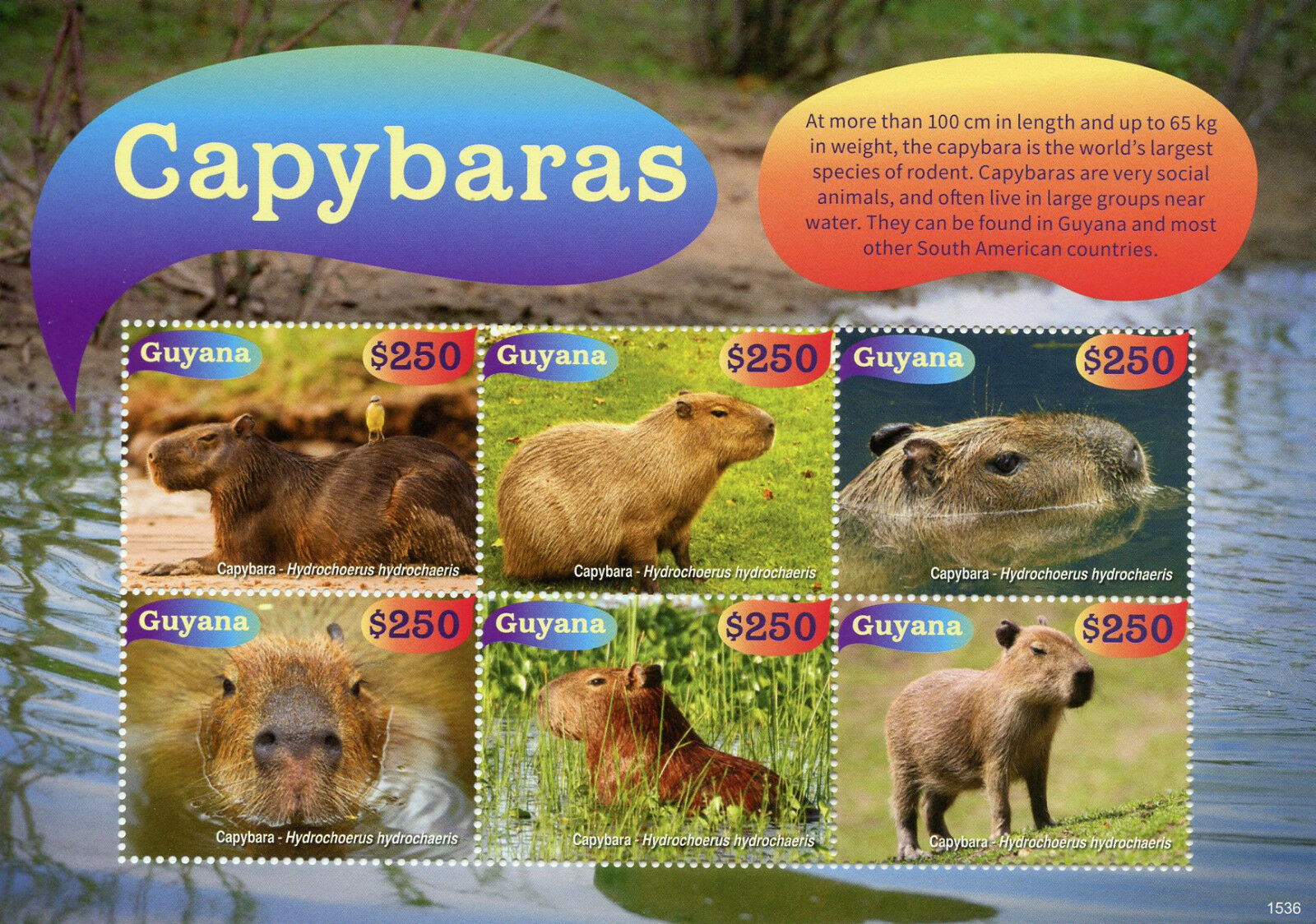 Guyana 2015 MNH Wild Animals Stamps Capybaras Rodents 6v M/S