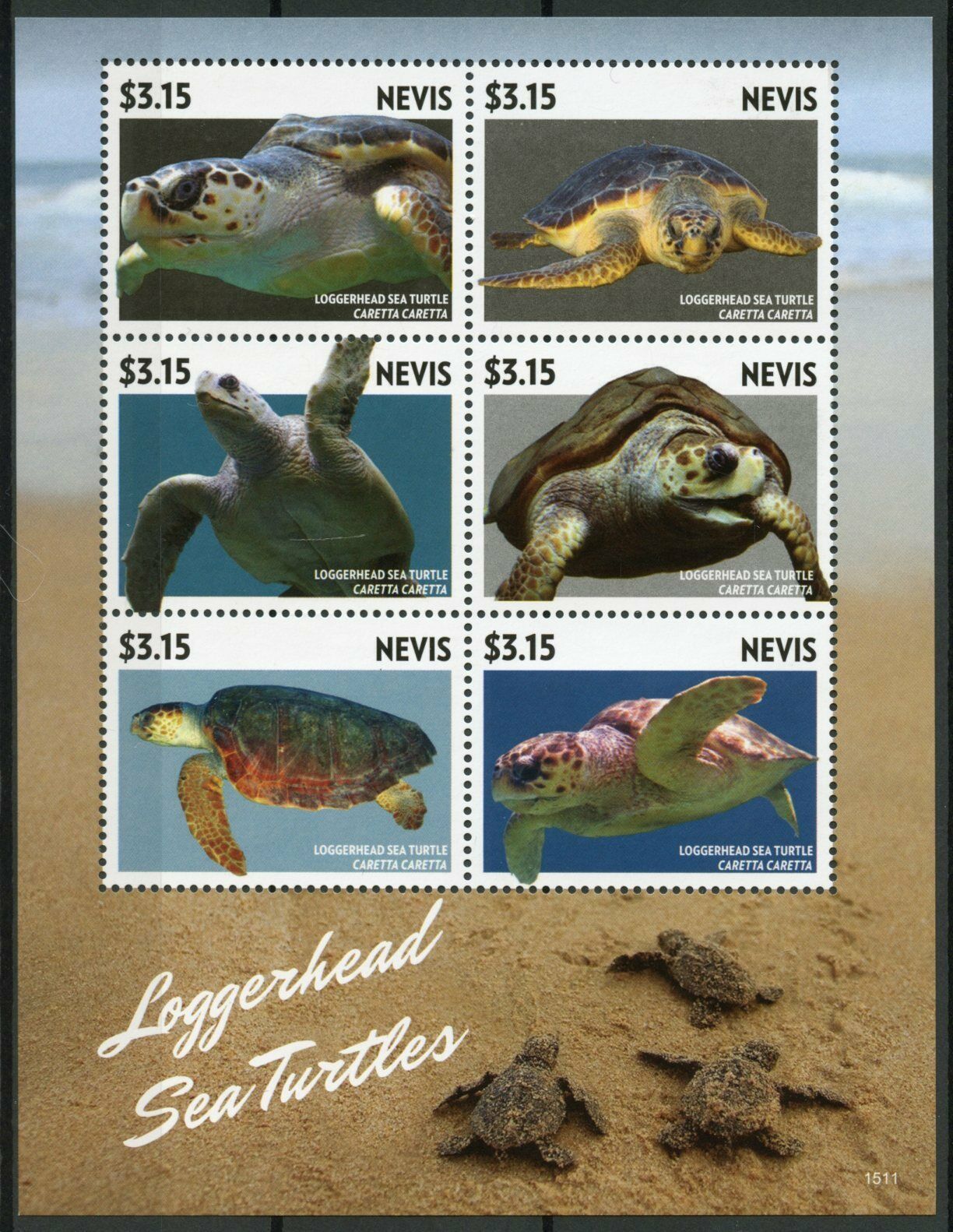 Nevis Reptiles Stamps 2015 MNH Loggerhead Sea Turtles Turtle Fauna 6v M/S