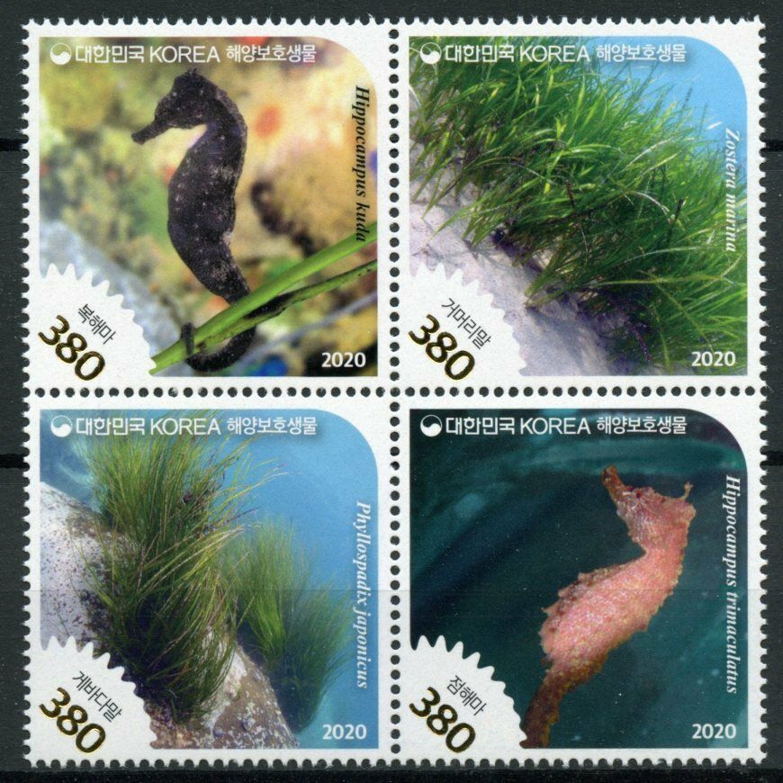 South Korea Marine Animals Stamps 2020 MNH Protected Species Seahorses 4v Block