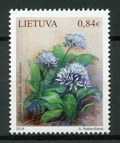 Lithuania 2019 MNH Wild Garlic Allium Ursinum 1v Set Plants Flowers Stamps