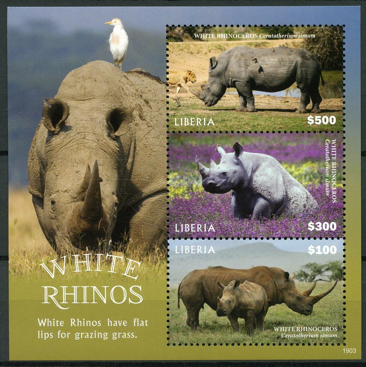 Liberia 2019 MNH Wild Animals Stamps White Rhino Rhinoceros Fauna Rhinos 3v M/S