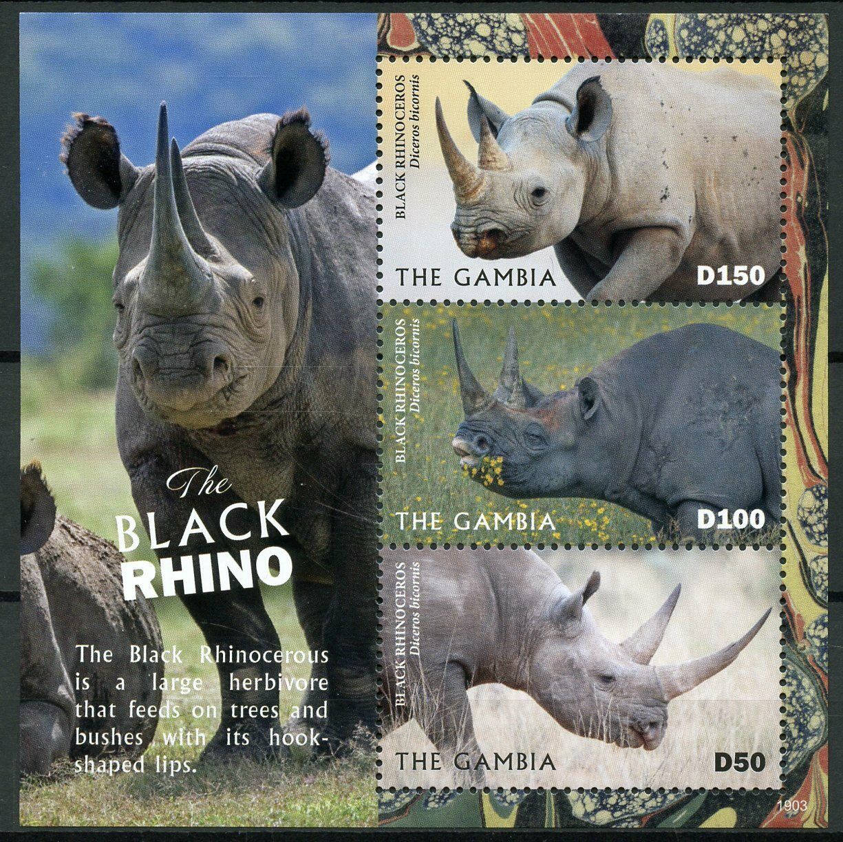 Gambia Wild Animals Stamps 2019 MNH Black Rhino Rhinoceros Fauna Rhino ...