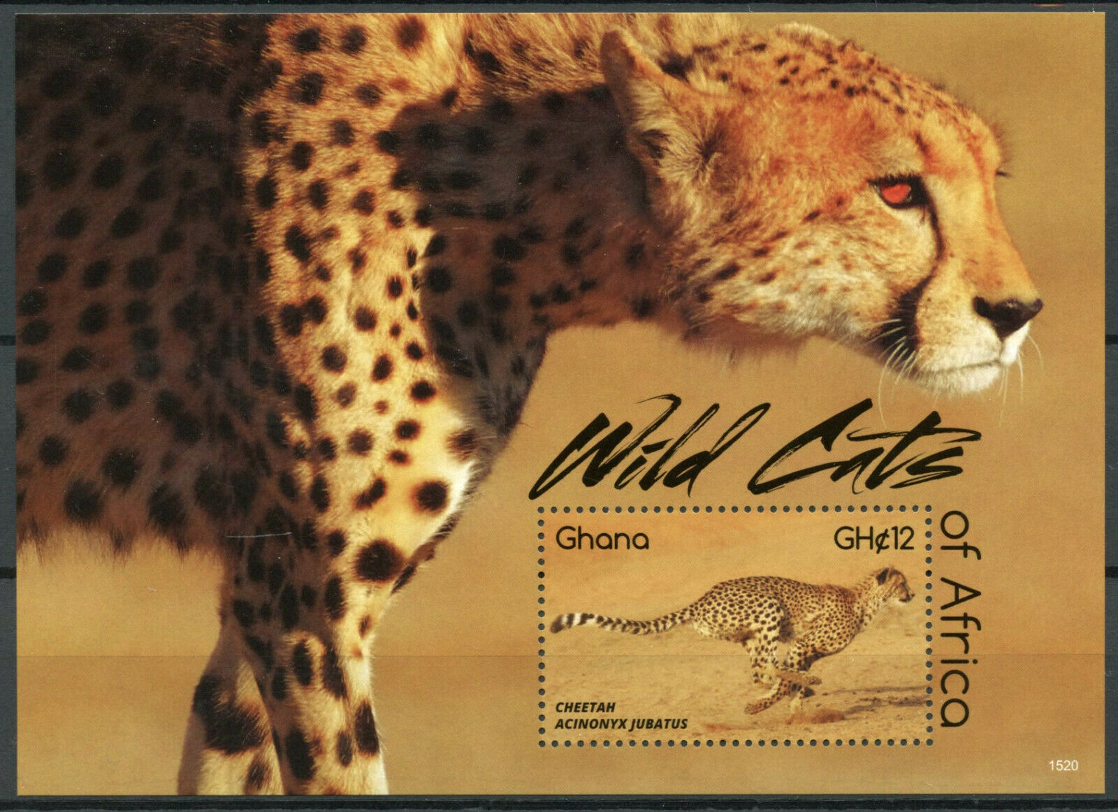 Ghana Wild Animals Stamps 2015 MNH Wild Cats of Africa Cheetahs 1v S/S II