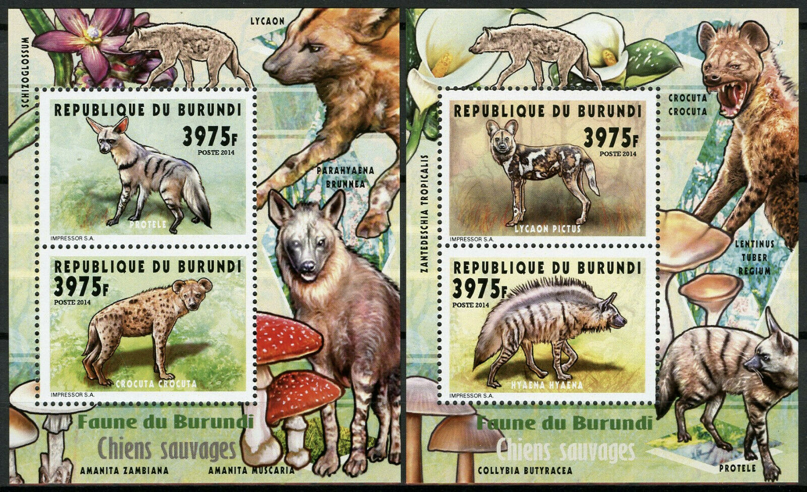 Burundi 2014 MNH Fauna Wild Dogs Hyenas 2x 2v Deluxe M/S Wild Animals Stamps